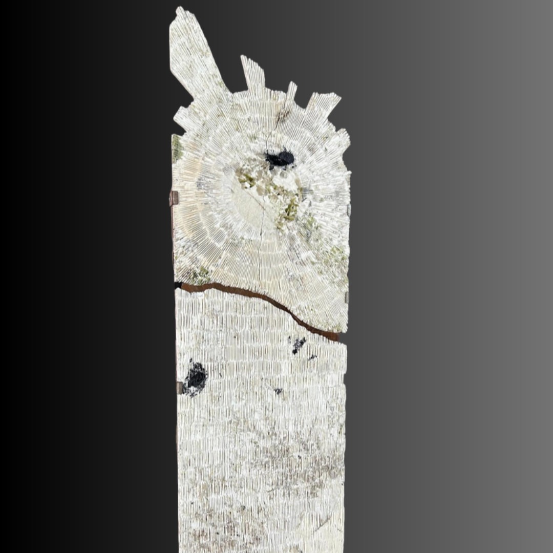 arts_guerreschi_stonestar_artwork_Federico (2)